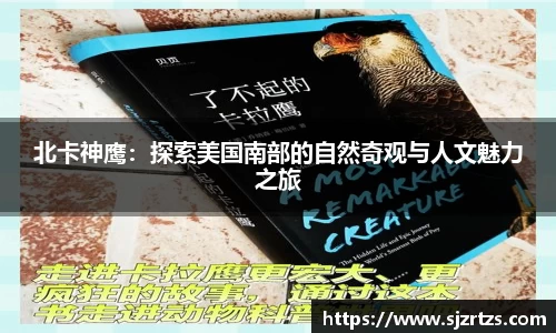 意昂体育4
